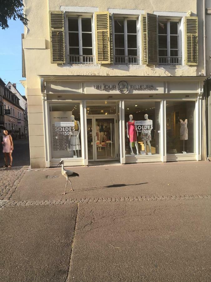Appartamento Les Clefs de la Liberté Colmar Esterno foto